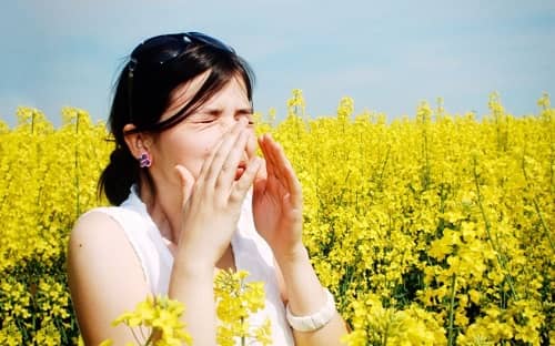 allergic rhinitis natural cures